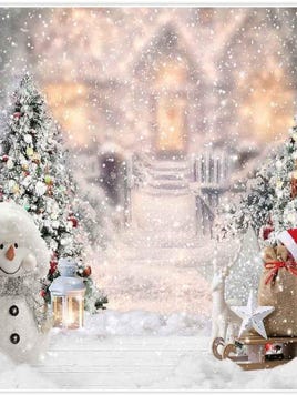 Christmas photographer with backdrop hire Northern Ireland, Belfast, Derry, Londonderry, Craigavon, Newtownabbey, Castlereagh, Lisburn, Ballymena, Lurgan, Portadown, Newtownards, Newry, Carrickfergus, Antrim, Coleraine, Omagh, Larne, Bandbridge, Armagh, Dungannon, Enniskillen, Cookstown, Limavady, Downpatrick, Ballymoney,  Magherafelt, Portrush, Ballycastle, Maghera,