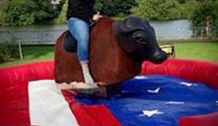 Rodeo bull Bucking bronco hire Derry Londonderry